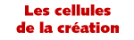 Les cellules de la cration